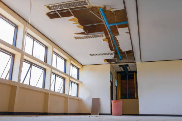 Best Water damage restoration near me  in Jacksonville, AR