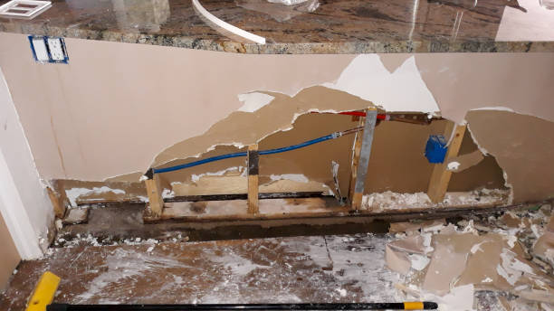 Best Mold removal after water damage  in Jacksonville, AR