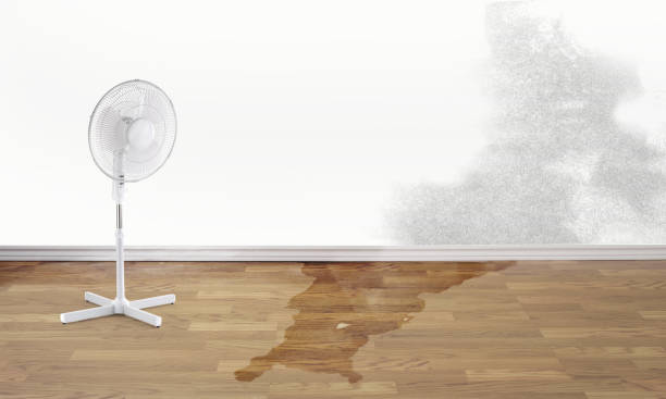 Best Sewage cleanup and water damage restoration  in Jacksonville, AR