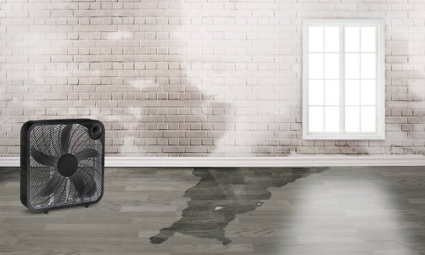 Best 24-hour water damage restoration  in Jacksonville, AR