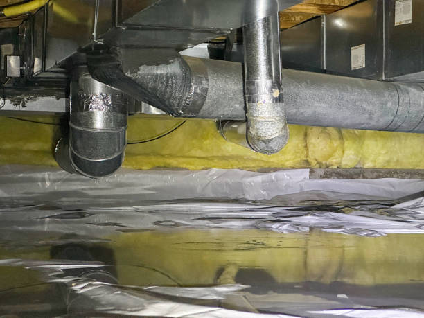 Best Local water damage restoration  in Jacksonville, AR