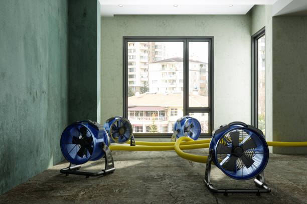 Reliable AR Water damage restoration Solutions